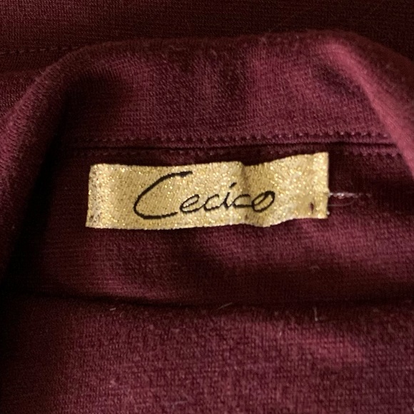 CECICO Double-Breasted Burgundy Blazer - Picture 5 of 7